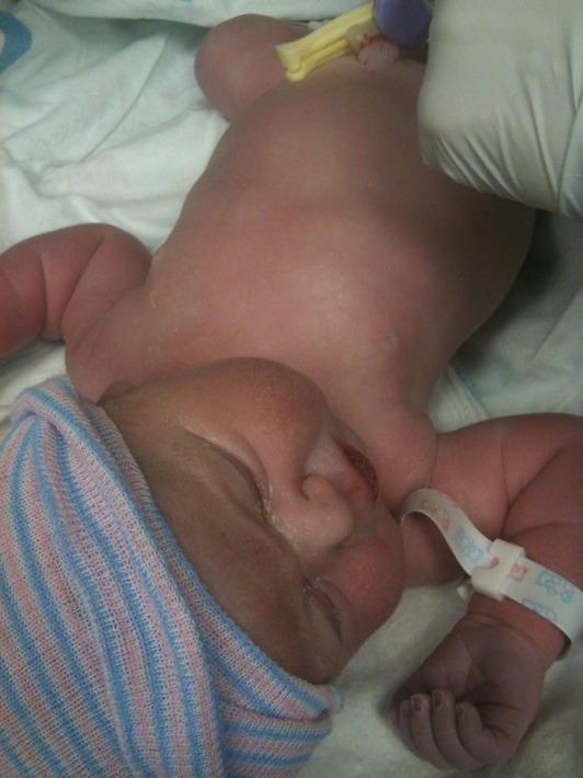 IMG 0132 - Version 2