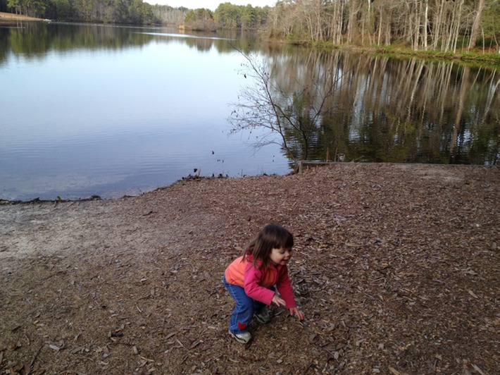 IMG 0452