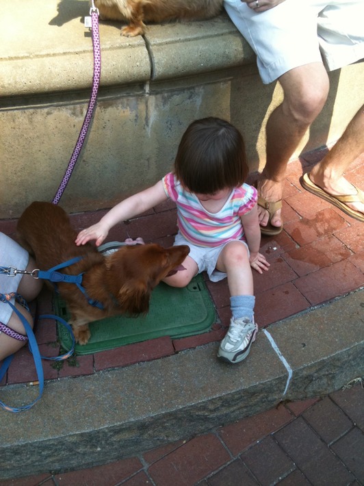IMG 0730